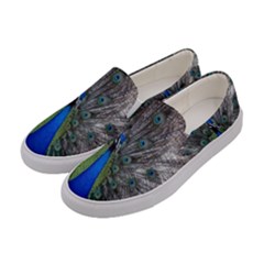 Peacock Bird Animals Pen Plumage Women s Canvas Slip Ons by Sapixe