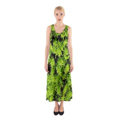 Green Hedge Texture Yew Plant Bush Leaf Sleeveless Maxi Dress