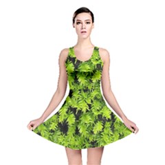 Green Hedge Texture Yew Plant Bush Leaf Reversible Skater Dress