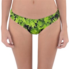 Green Hedge Texture Yew Plant Bush Leaf Reversible Hipster Bikini Bottoms by Sapixe