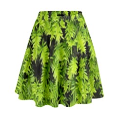 Green Hedge Texture Yew Plant Bush Leaf High Waist Skirt