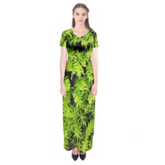 Green Hedge Texture Yew Plant Bush Leaf Short Sleeve Maxi Dress