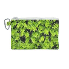 Green Hedge Texture Yew Plant Bush Leaf Canvas Cosmetic Bag (medium) by Sapixe