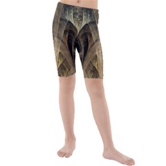 Fractal Art Graphic Design Image Kids  Mid Length Swim Shorts