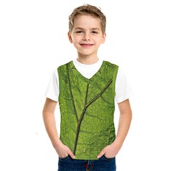 Butterbur Leaf Plant Veins Pattern Kids  Sportswear by Sapixe
