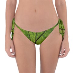 Butterbur Leaf Plant Veins Pattern Reversible Bikini Bottom