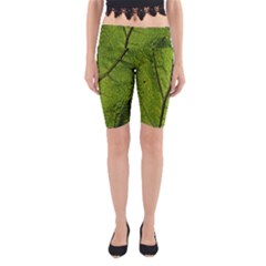 Butterbur Leaf Plant Veins Pattern Yoga Cropped Leggings by Sapixe