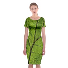 Butterbur Leaf Plant Veins Pattern Classic Short Sleeve Midi Dress