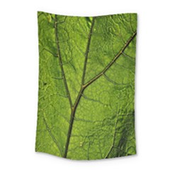 Butterbur Leaf Plant Veins Pattern Small Tapestry