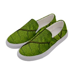 Butterbur Leaf Plant Veins Pattern Women s Canvas Slip Ons