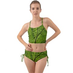 Butterbur Leaf Plant Veins Pattern Mini Tank Bikini Set by Sapixe