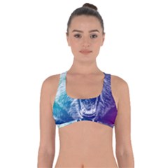 Bear Grizzly Wallpaper Got No Strings Sports Bra