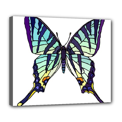 A Colorful Butterfly Deluxe Canvas 24  x 20  (Stretched)