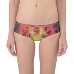 Fractal Lion Classic Bikini Bottoms