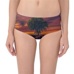 Wonderful Fantasy Sunset Wallpaper Tree Mid-waist Bikini Bottoms