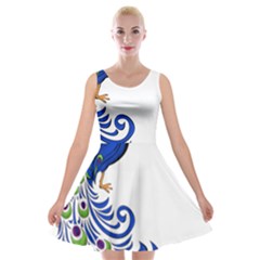 Venus Peacock Velvet Skater Dress by amazinganimals