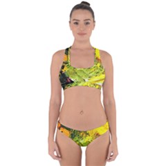 Yellow Chik 5 Cross Back Hipster Bikini Set by bestdesignintheworld