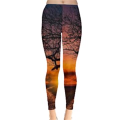 Lonely Tree Sunset Wallpaper Leggings  by Alisyart