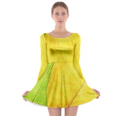 Green Yellow Leaf Texture Leaves Long Sleeve Skater Dress