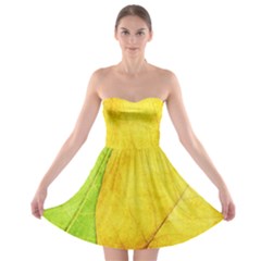 Green Yellow Leaf Texture Leaves Strapless Bra Top Dress