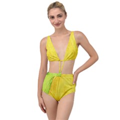 Green Yellow Leaf Texture Leaves Tied Up Two Piece Swimsuit