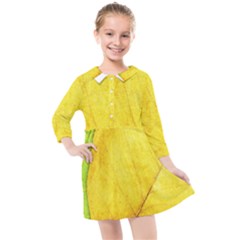 Green Yellow Leaf Texture Leaves Kids  Quarter Sleeve Shirt Dress by Alisyart