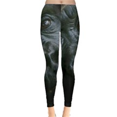 Gorilla Monkey Zoo Animal Leggings  by Nexatart