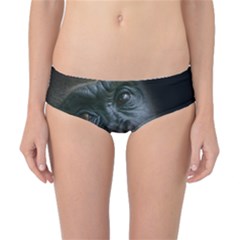 Gorilla Monkey Zoo Animal Classic Bikini Bottoms by Nexatart