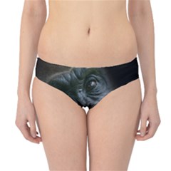 Gorilla Monkey Zoo Animal Hipster Bikini Bottoms by Nexatart