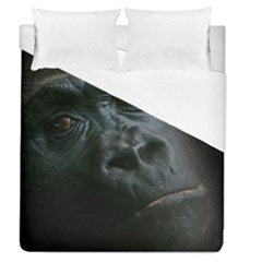 Gorilla Monkey Zoo Animal Duvet Cover (queen Size) by Nexatart