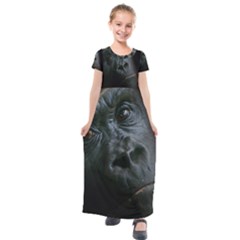 Gorilla Monkey Zoo Animal Kids  Short Sleeve Maxi Dress by Nexatart