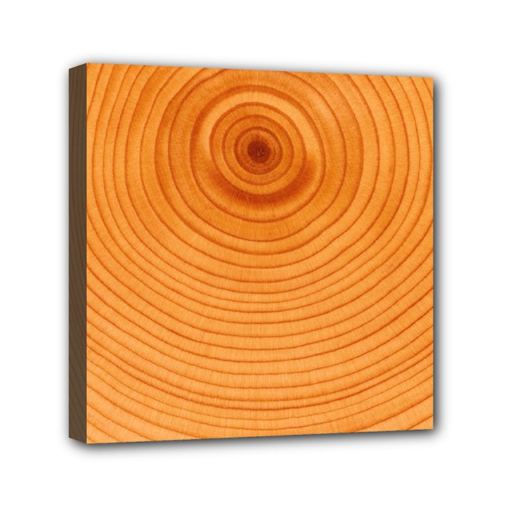 Rings Wood Line Mini Canvas 6  x 6  (Stretched)
