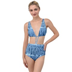 Snowy Forest Reflection Lake Tied Up Two Piece Swimsuit