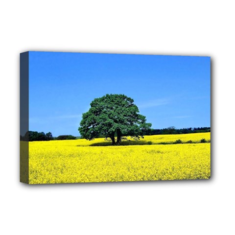 Tree In Field Deluxe Canvas 18  X 12  (stretched)