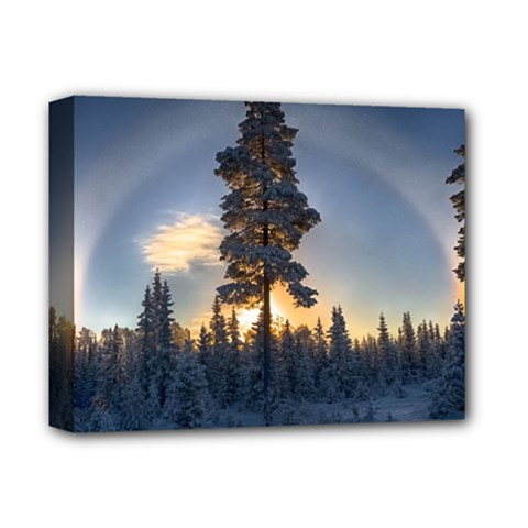 Winter Sunset Pine Tree Deluxe Canvas 14  X 11  (stretched)