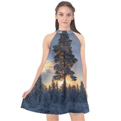 Winter Sunset Pine Tree Halter Neckline Chiffon Dress 