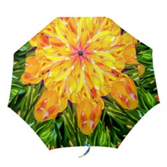 Festival Of Tulip Flowers Folding Umbrellas by FunnyCow