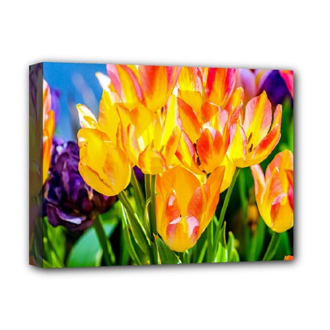 Festival Of Tulip Flowers Deluxe Canvas 16  X 12  (stretched)  by FunnyCow