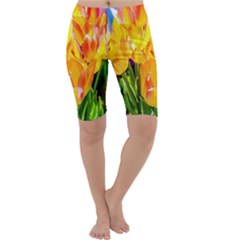 Festival Of Tulip Flowers Cropped Leggings  by FunnyCow