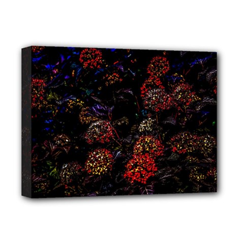 Floral Fireworks Deluxe Canvas 16  X 12  (stretched)  by FunnyCow