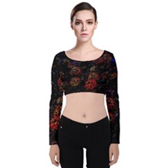 Floral Fireworks Velvet Long Sleeve Crop Top by FunnyCow