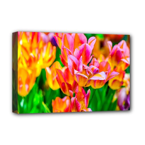 Blushing Tulip Flowers Deluxe Canvas 18  X 12  (stretched) by FunnyCow