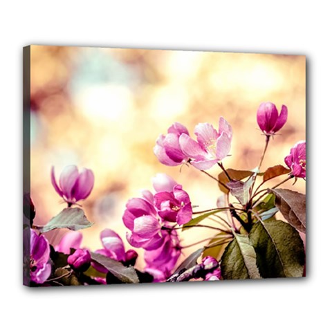 Paradise Apple Blossoms Canvas 20  X 16  (stretched) by FunnyCow