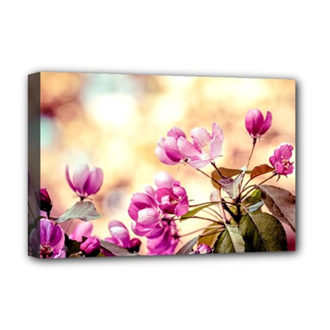 Paradise Apple Blossoms Deluxe Canvas 18  X 12  (stretched) by FunnyCow