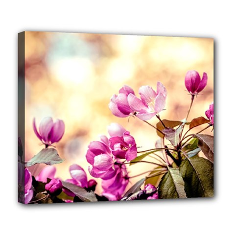 Paradise Apple Blossoms Deluxe Canvas 24  X 20  (stretched) by FunnyCow