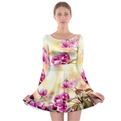 Paradise Apple Blossoms Long Sleeve Skater Dress by FunnyCow