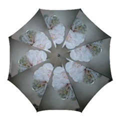 Rainy Day Of Hanami Season Golf Umbrellas by FunnyCow
