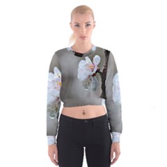 Rainy Day Of Hanami Season Cropped Sweatshirt by FunnyCow