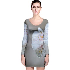 Rainy Day Of Hanami Season Long Sleeve Velvet Bodycon Dress by FunnyCow