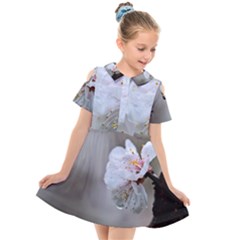 Rainy Day Of Hanami Season Kids  Short Sleeve Shirt Dress by FunnyCow